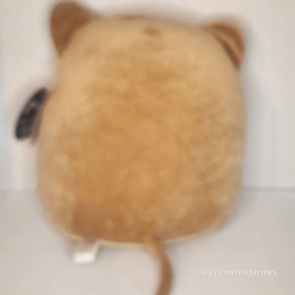 🖤 QUITO 🐻 Select Series Black Tag Quito Original Squishmallow ☆》NWT《☆ - Picture 6 of 10